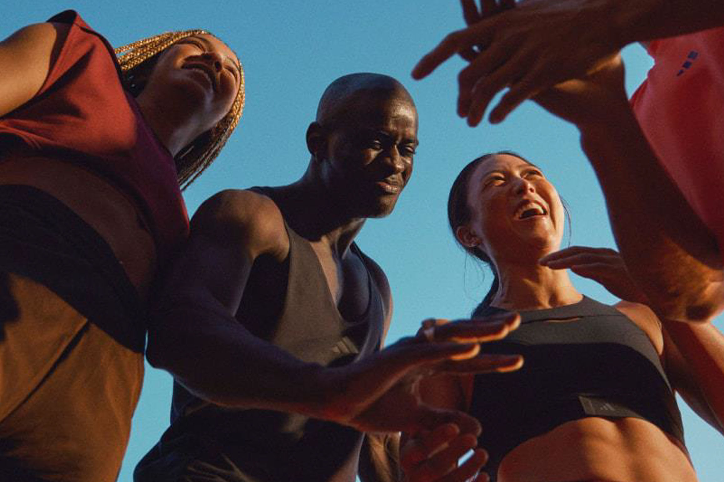 8 SECRETOS PARA ENTRENAMIENTOS MÁS FELICES